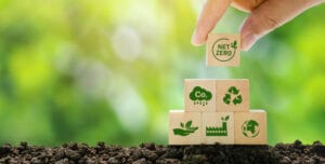 The science behind the Net Zero